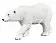 Белый медведь - фото 2