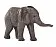 Африканский слоненок - фото 5