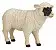 Шотландская черноголовая овца - фото 2