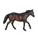 Лошадь Квотерхорс тёмно-гнедая - фото 6