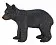 Американский черный медвежонок - фото 3