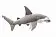 Акула-молот, 49 см - фото 3