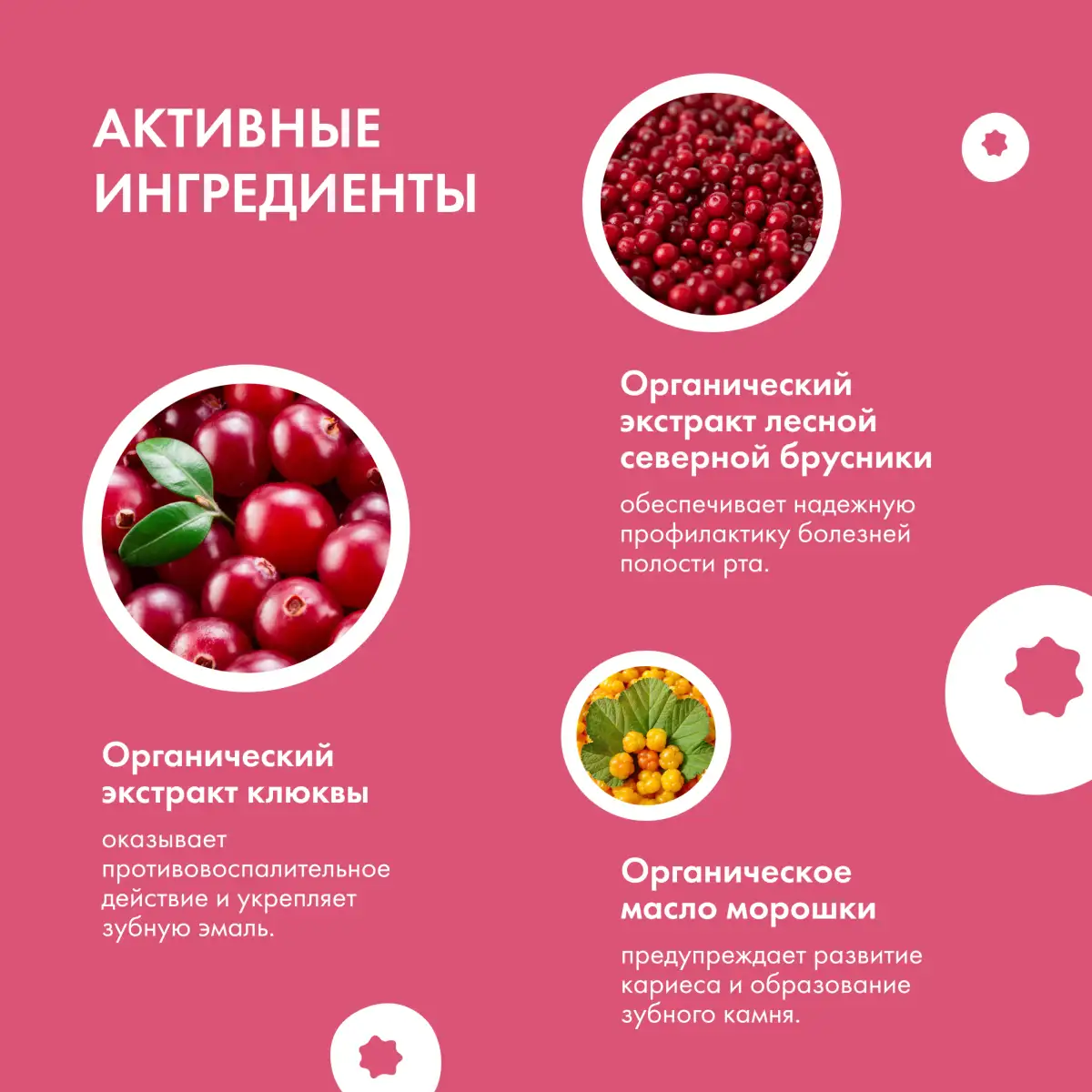 Siberica Бибerika Зубная паста "Лесная ягодка" 50 мл - фото